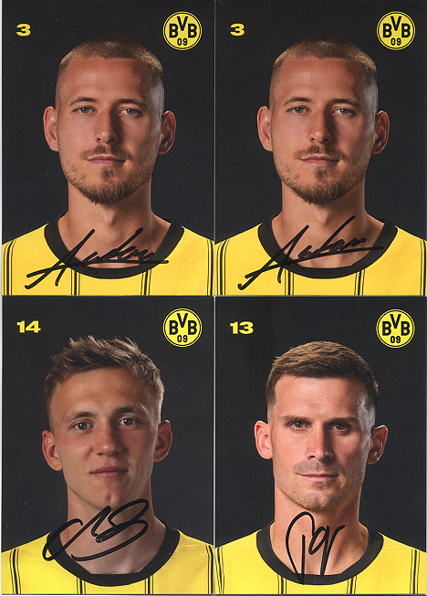 BVB